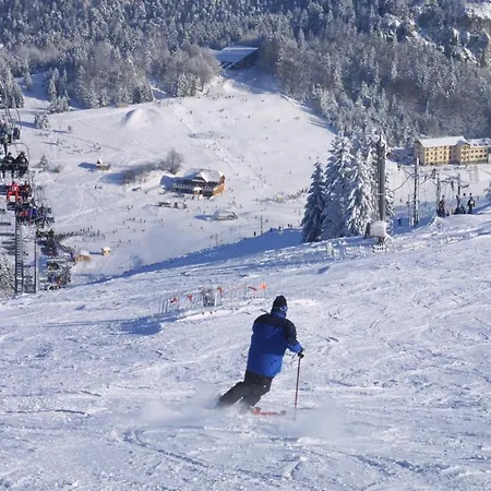 Pod Brdom 山林小屋 鲁容贝罗克