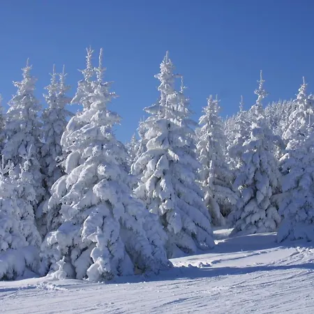 山林小屋 Pod Brdom *